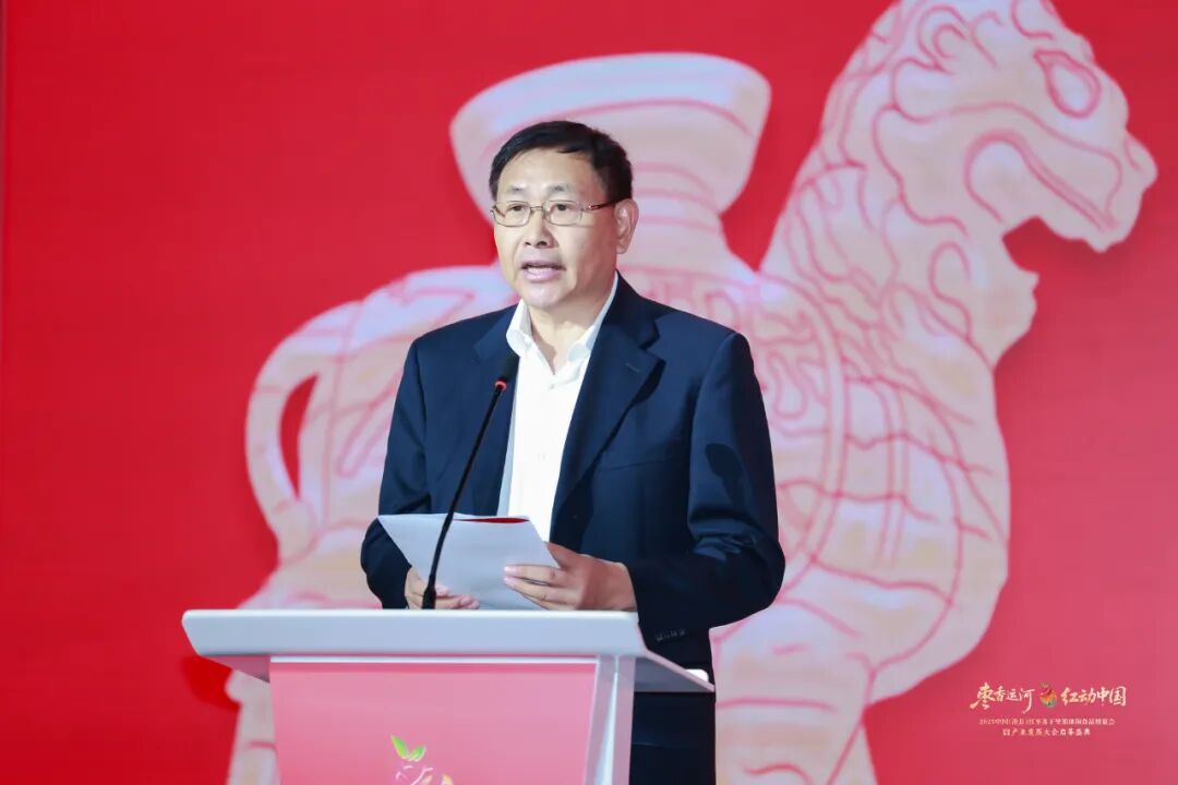 枣香运河,红动中国!2025中国(沧县)红枣及干坚果休闲食品博览会暨产业发展大会成功举办!