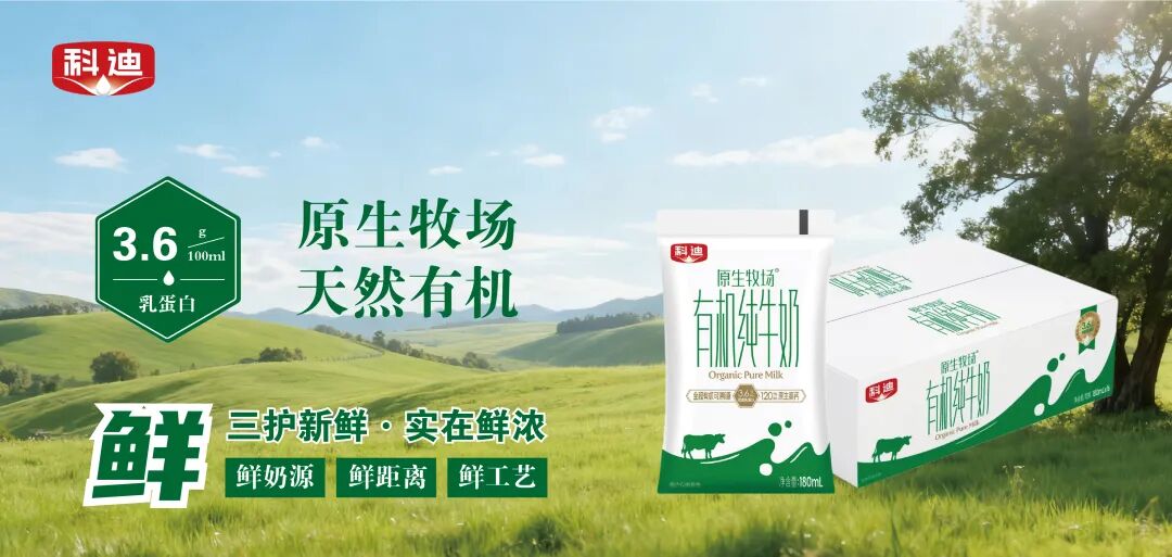 从“品类开创者”到“销量第一”，科迪小白袋斩获尚普咨询权威“双认证”！