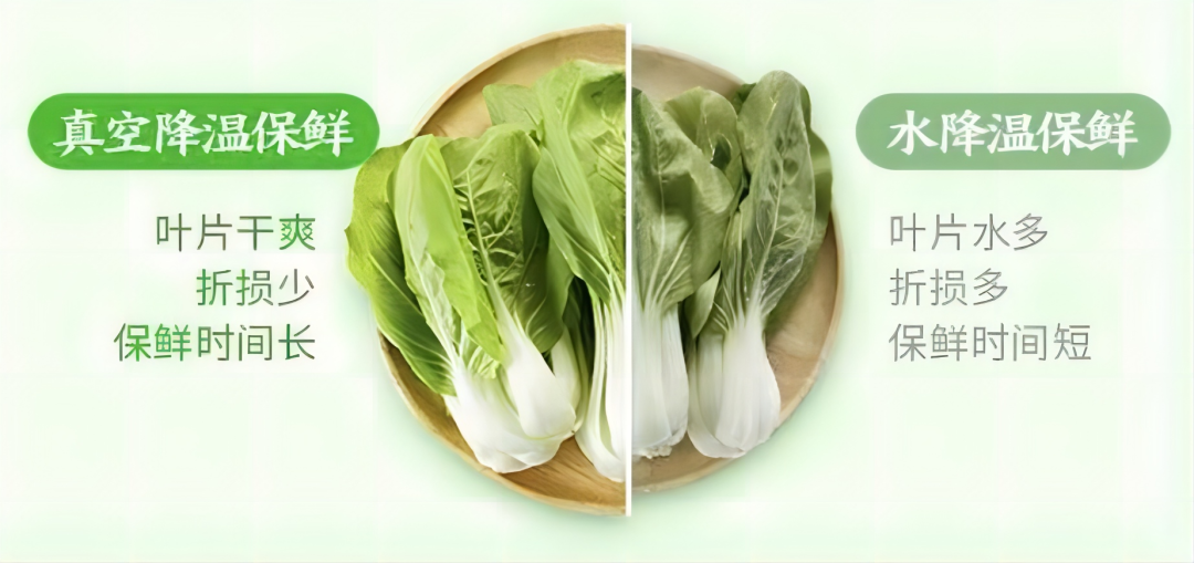 小象超市硬磕“南菜北运”:一场高原“锁鲜人”的千里奔袭