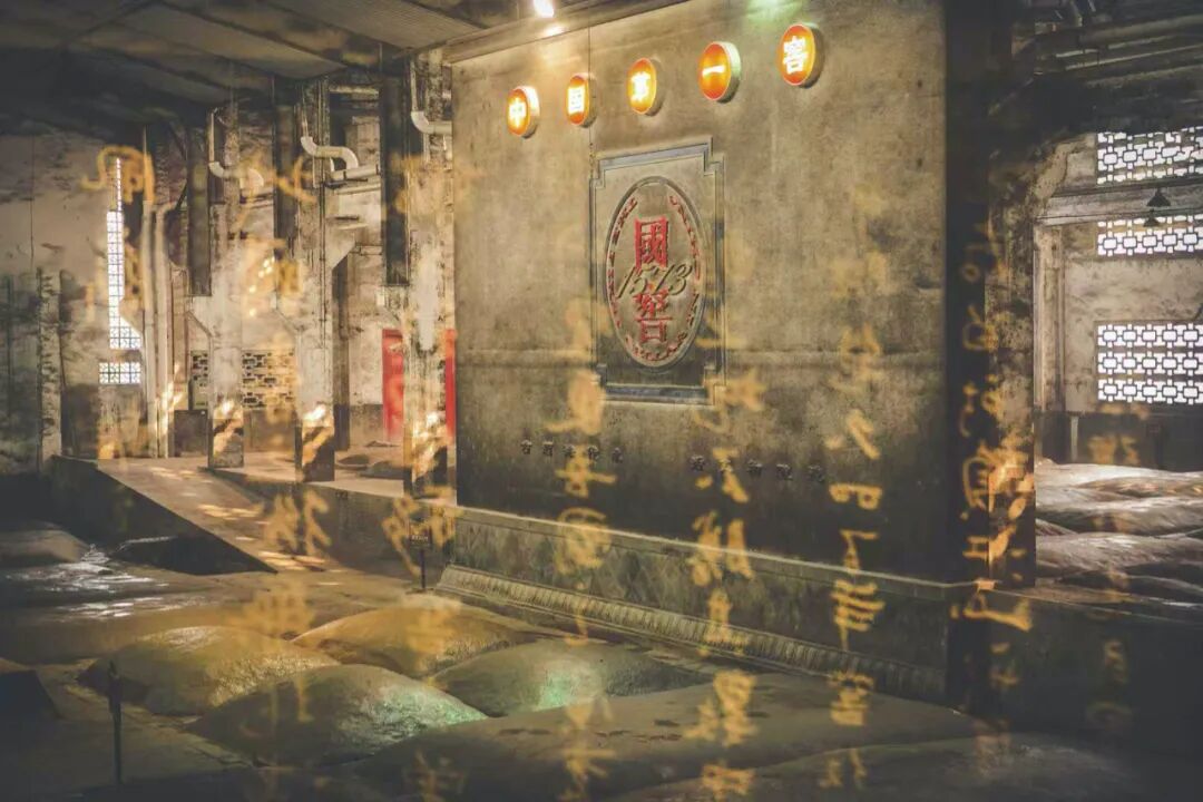 逆势显韧性:解码泸州老窖的“稳”与“进”