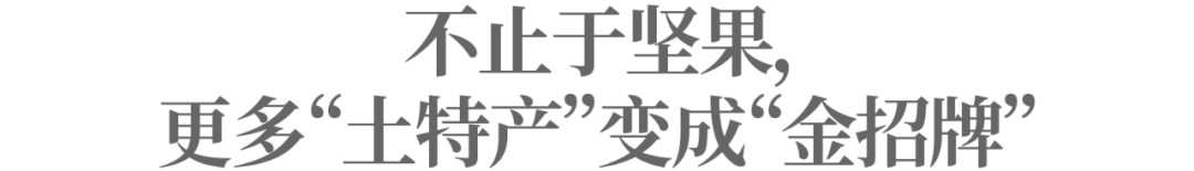跟着央视新闻寻味云南:良品铺子解锁中国坚果的 “大” 门道