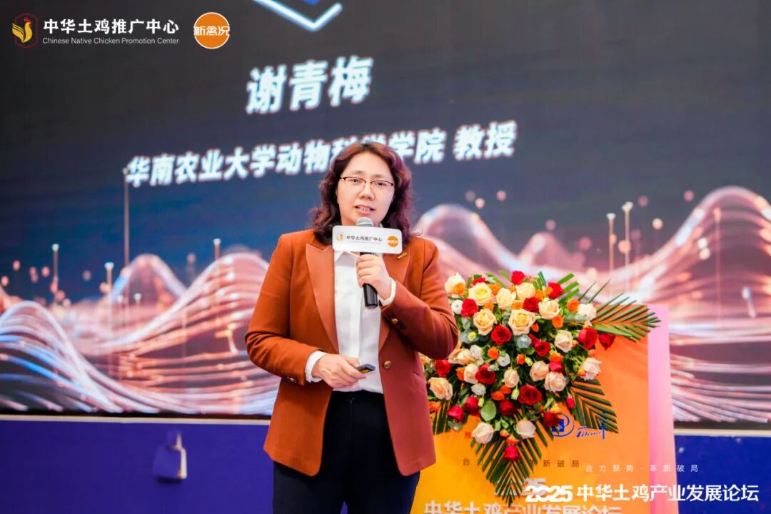 凝聚行业共识,复兴土鸡消费热潮!2025中华土鸡产业发展论坛成功举办
