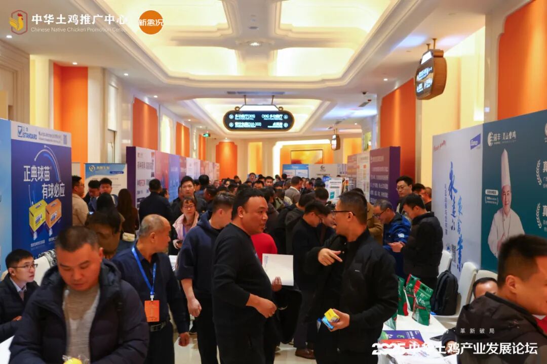 凝聚行业共识,复兴土鸡消费热潮!2025中华土鸡产业发展论坛成功举办