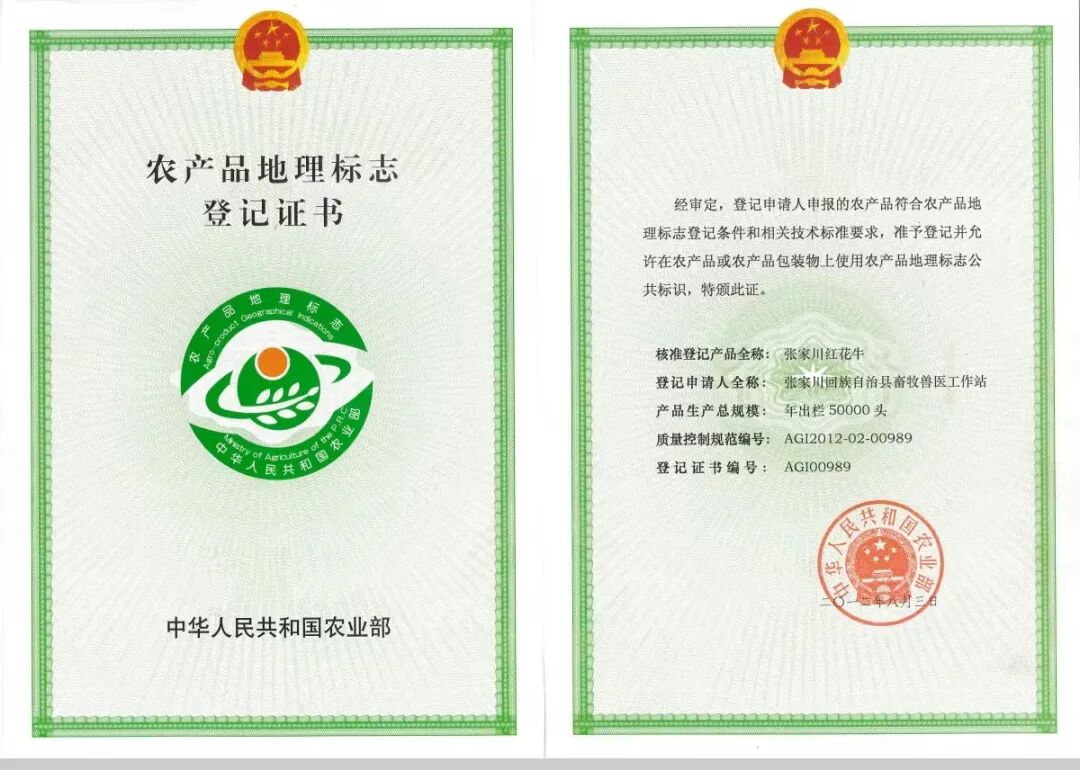 鲜切内卷的终极答案:张家川红花牛,以基因优势定义品牌高度