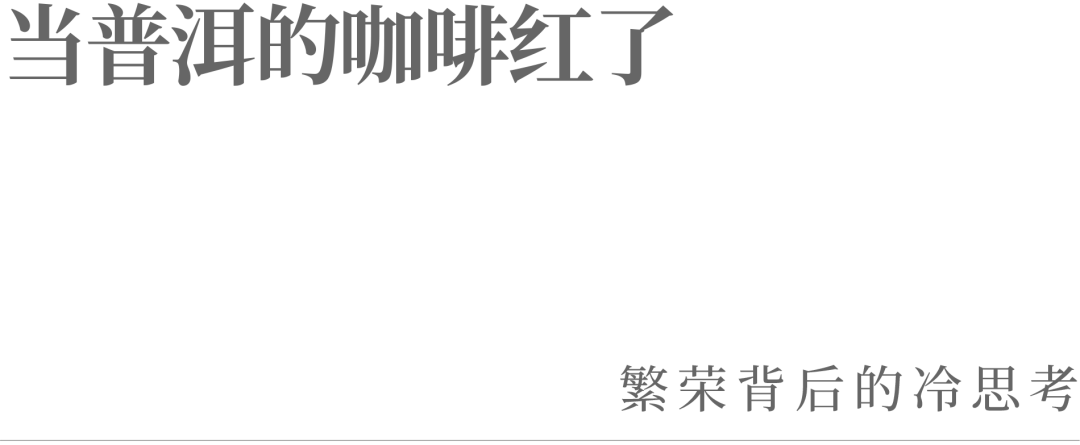 当普洱的咖啡红了