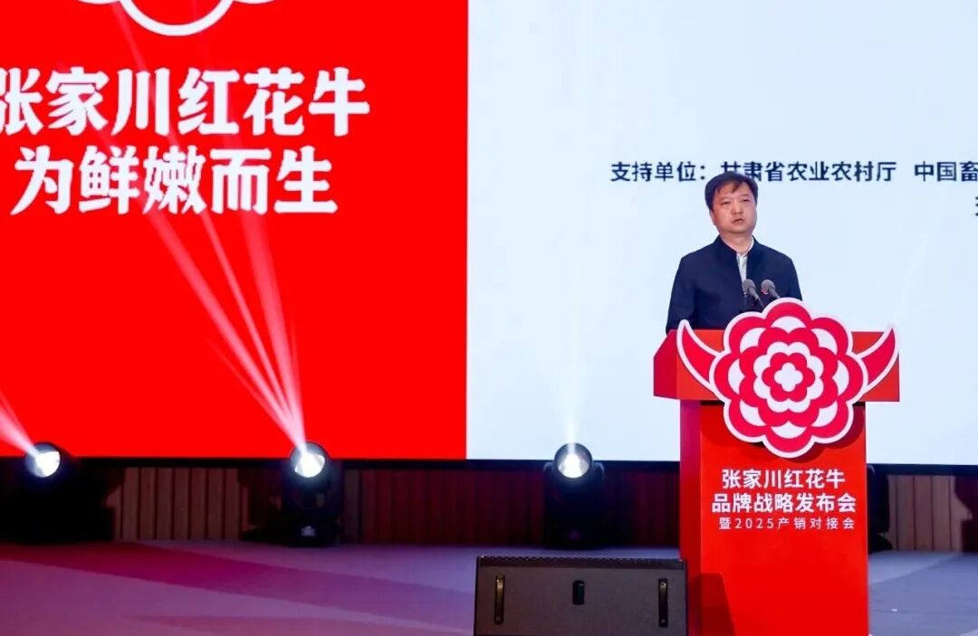 “陇上名牛”品牌崛起:张家川红花牛品牌战略发布会在兰州举办