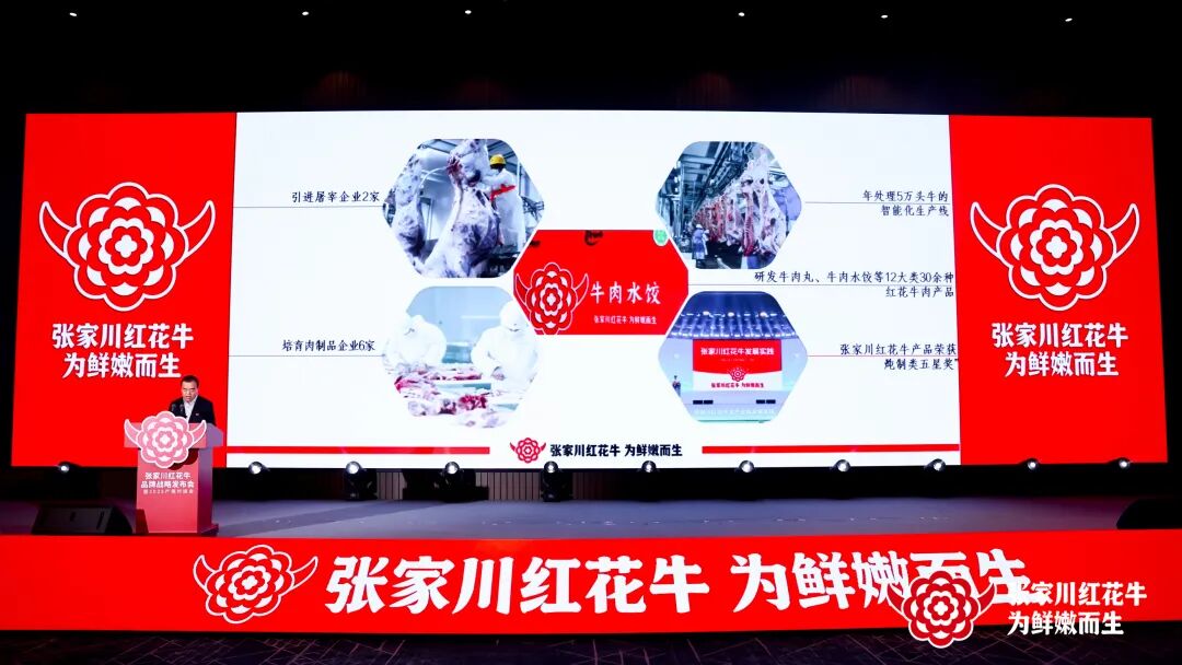 “陇上名牛”品牌崛起:张家川红花牛品牌战略发布会在兰州举办