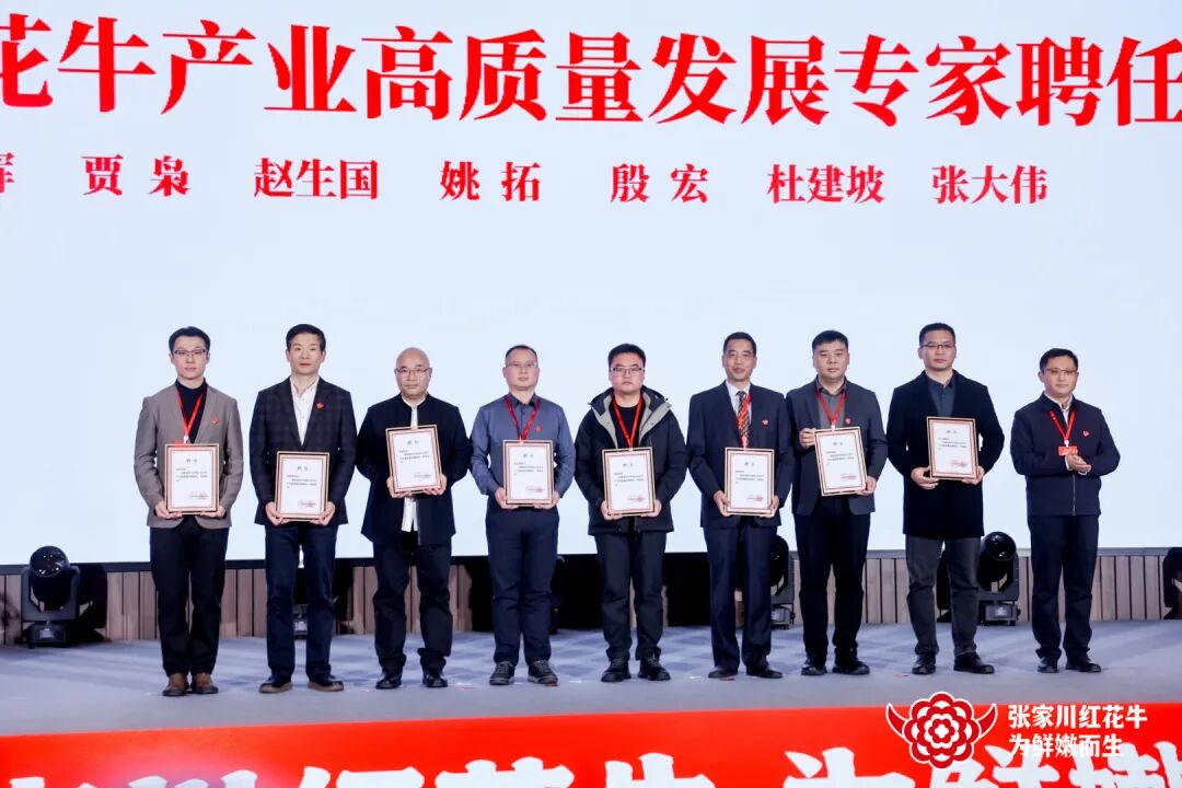 “陇上名牛”品牌崛起:张家川红花牛品牌战略发布会在兰州举办