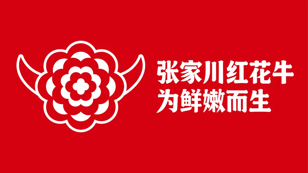 “陇上名牛”品牌崛起：张家川红花牛品牌战略发布会在兰州举办