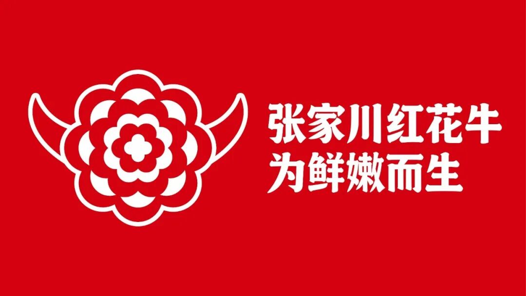 从关山牧歌到万家餐桌：张家川红花牛开启品牌化新征程