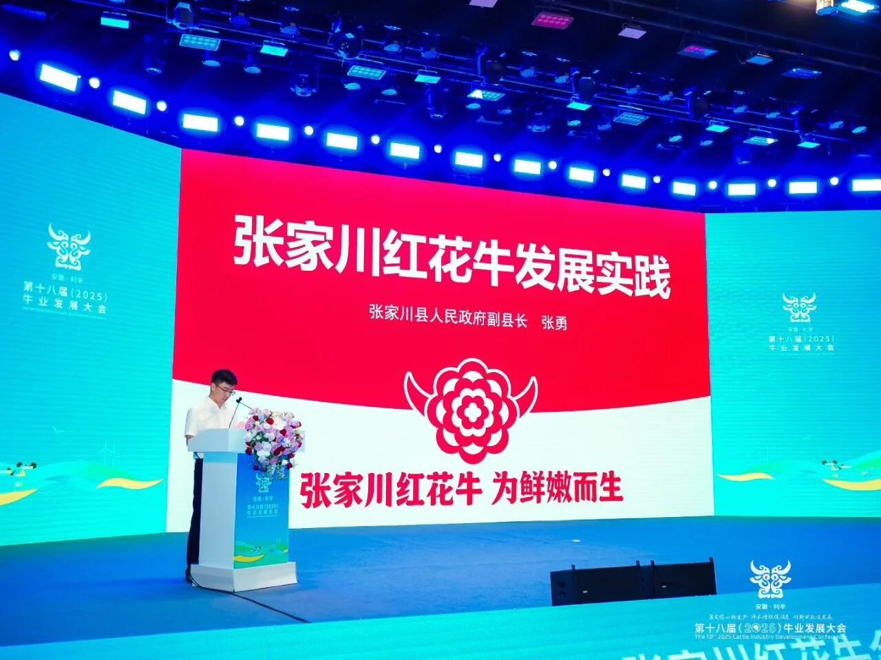 从关山牧歌到万家餐桌：张家川红花牛开启品牌化新征程
