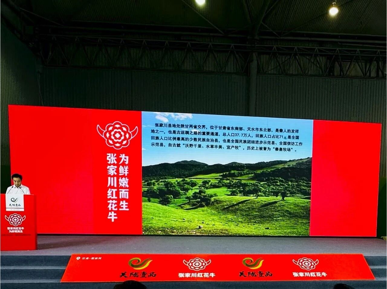 从关山牧歌到万家餐桌：张家川红花牛开启品牌化新征程