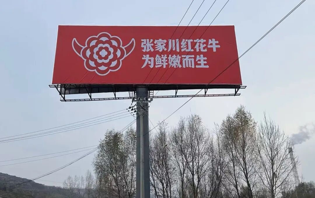 从关山牧歌到万家餐桌：张家川红花牛开启品牌化新征程