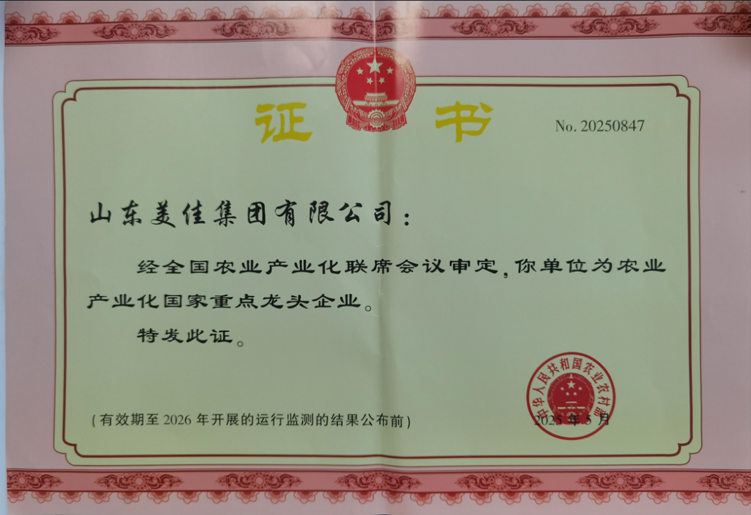 全民票选第一名!美佳集团董事长申照华折桂“十四五贡献人物”大奖