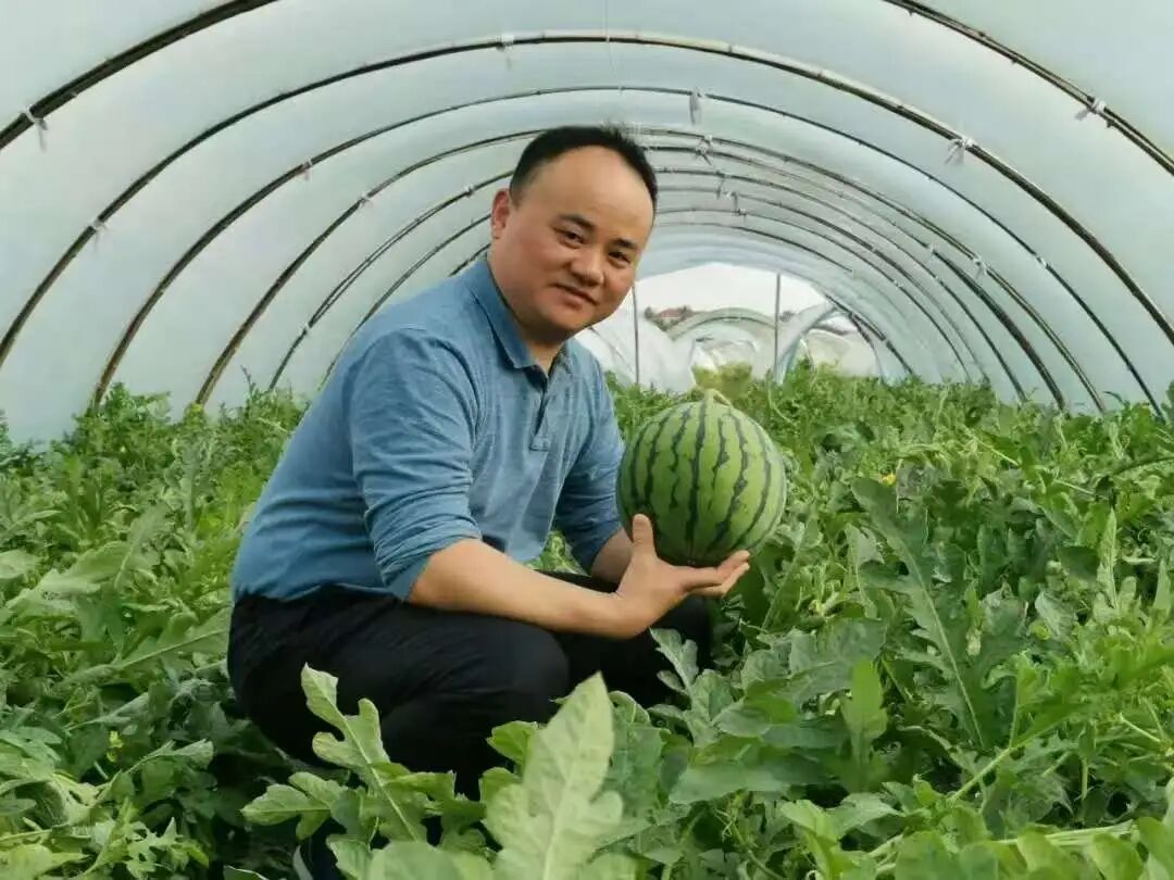 0后保安兼职卖水果,靠三轮车拉出水果连锁巨头"
