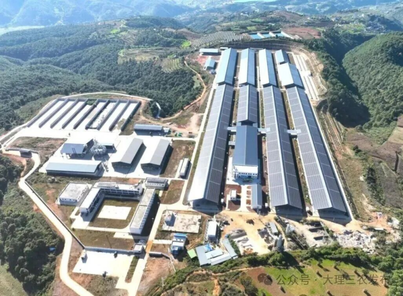 伊利新成立了哪些公司？河北、陕西、安徽分别举办了哪些与奶业相关的大会？这一投资2.95亿元的奶业项目有了新进展……