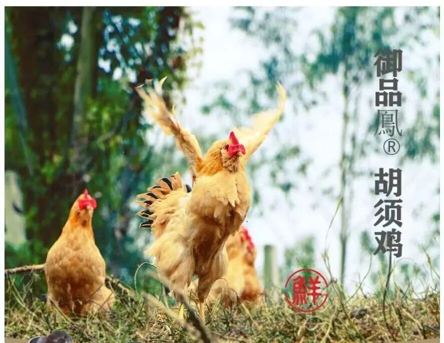一只鸡、一头猪，2025胡润榜上最意外的“增长王”