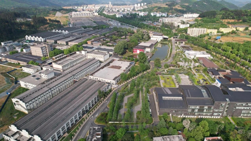 逆流而上·向新而行：金沙酒业2025年的深耕与跨越