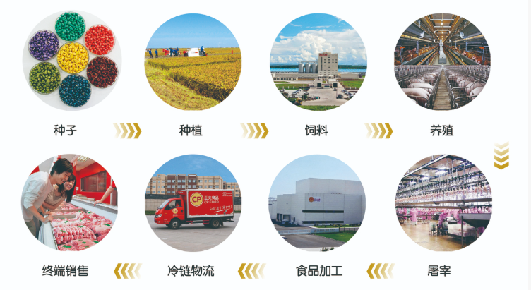 正大中国密集“落子”:87岁谢国民奔波不停,剑指何方?