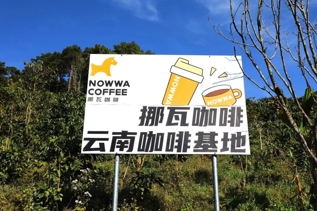 每月多赚 1 万元,挪瓦咖啡如何帮便利店增收?