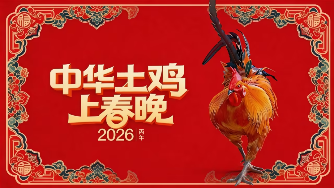 一只“中华土鸡”,凭什么登上“马年春晚”?