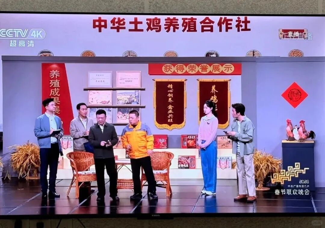 一只“中华土鸡”,凭什么登上“马年春晚”?