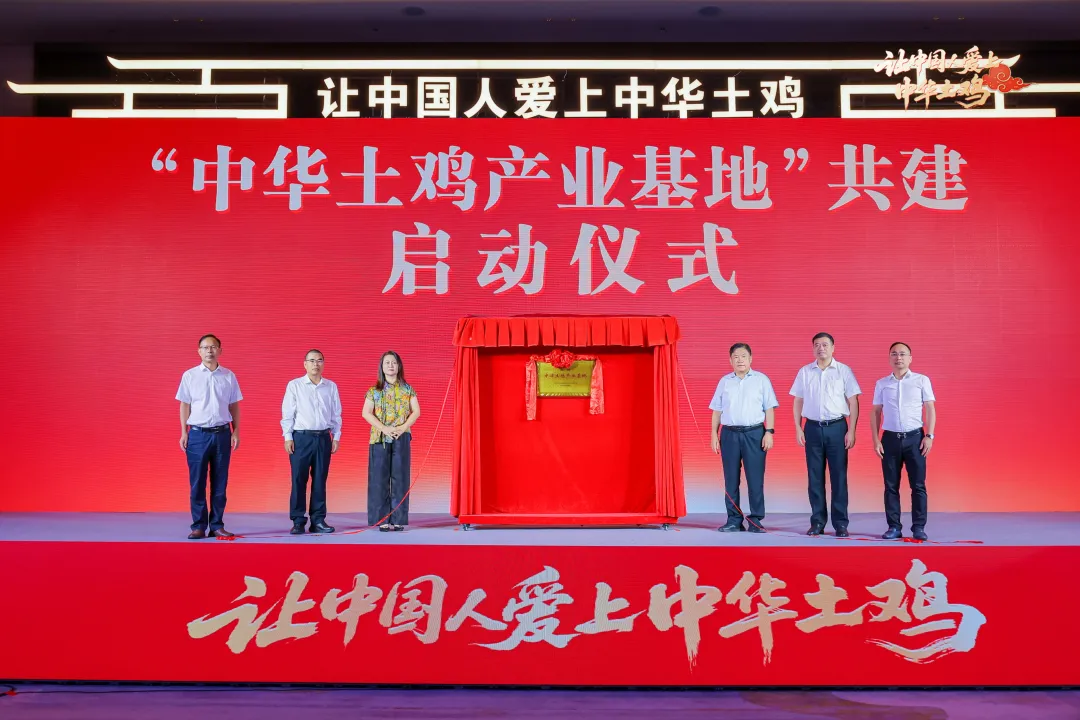 一只“中华土鸡”,凭什么登上“马年春晚”?