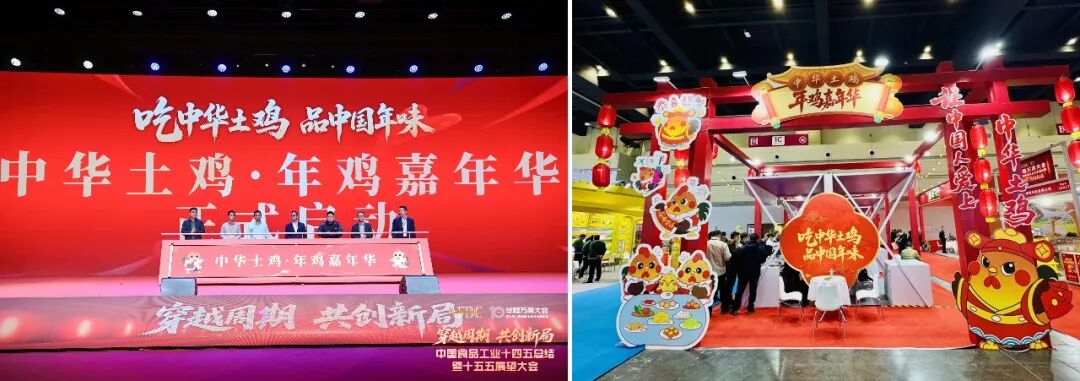 一只“中华土鸡”,凭什么登上“马年春晚”?