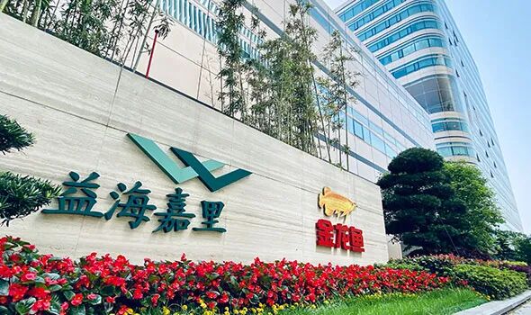 451亿“油茅”归来！金龙鱼重回增长"