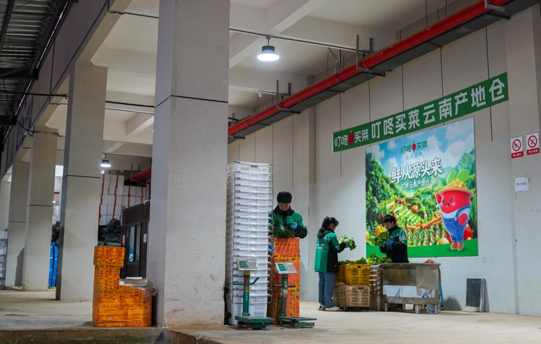 宗馥莉落选“2026杰出商界女性”,OATLY发布高纤燕麦奶,叮咚买菜两大产地仓落地……