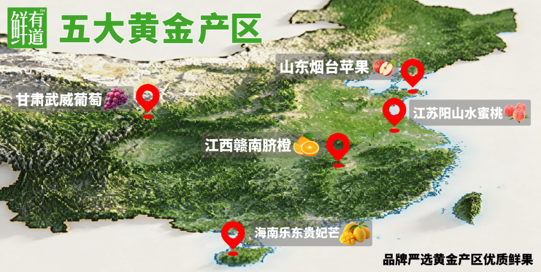 果汁赛道重新洗牌,鲜有道“贵族果汁”正在改写规则!