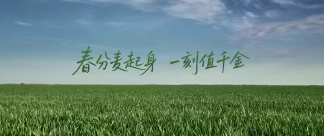 把广告拍成电影!《燕京春分》以五大破圈,成就中国啤酒行业营销天花板