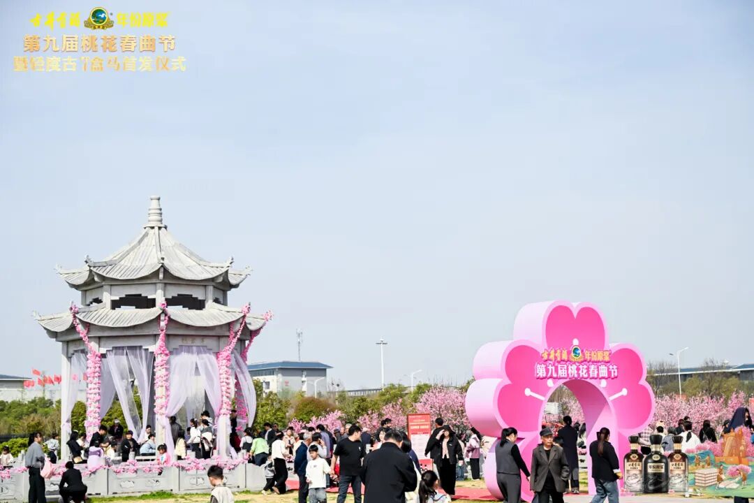 以桃花为约,古井贡酒九载IP深耕解锁老名酒的新活力
