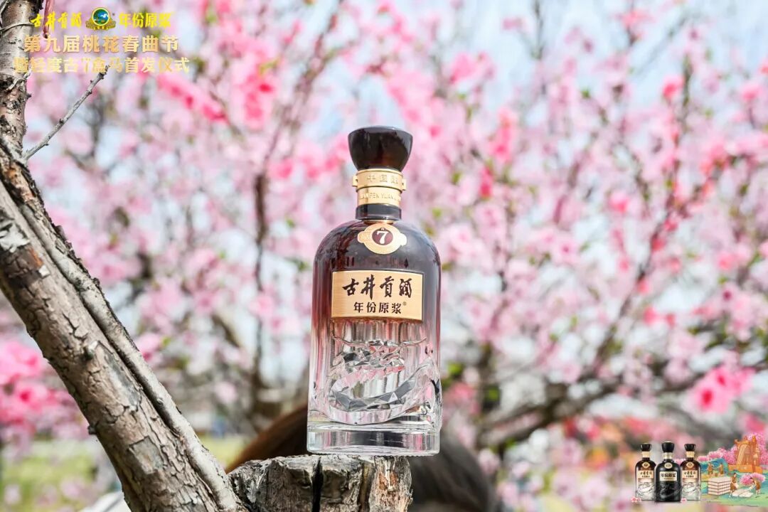 以桃花为约,古井贡酒九载IP深耕解锁老名酒的新活力