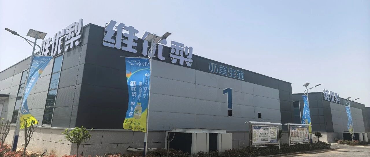 千年梨乡，润养中国！2026中国梨汁健康产业发展赋能大会圆满举行