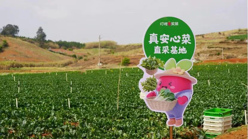 食业周报丨i茅台一季度增收267%、绝味食品上市九年首亏……