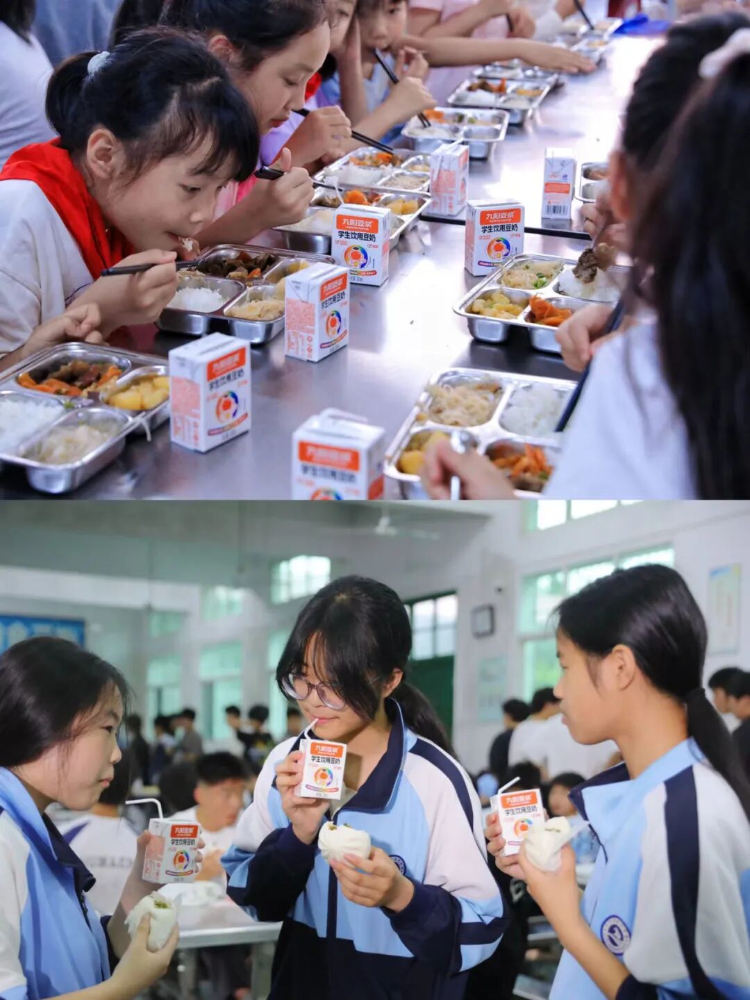 哈基米南北绿豆预售45天，全渠道抢着代理，九阳豆浆凭什么？