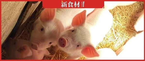 对抗生素说不！肉企竞逐“无抗”赛道，谁在领跑？