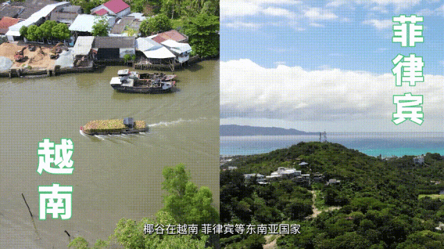 椰谷15亿超级工厂落成，释放四大重磅战略信号！