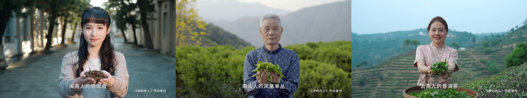 茶的传人亮相浦东机场!锚定高净值人群,重构即饮茶行业新标杆