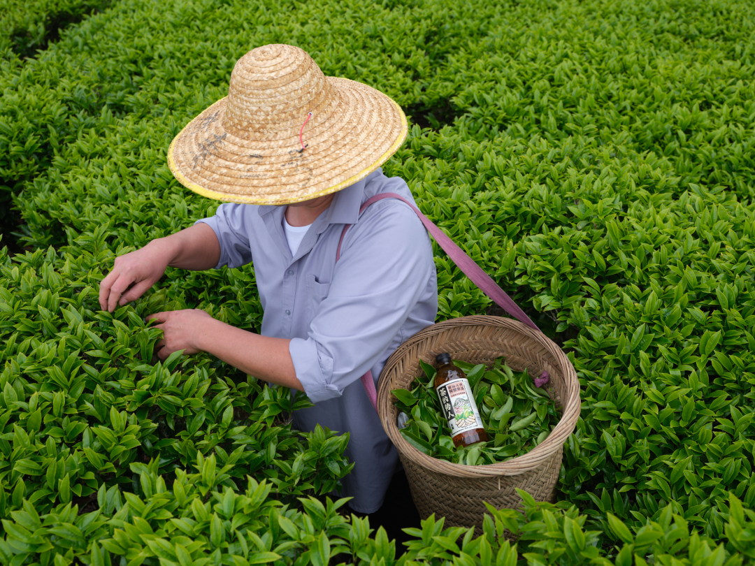 茶的传人亮相浦东机场!锚定高净值人群,重构即饮茶行业新标杆