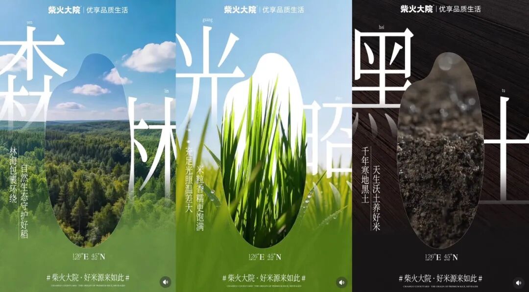 不止于“好米”:柴火大院2026插秧节,一场从产地到生活的品质升维
