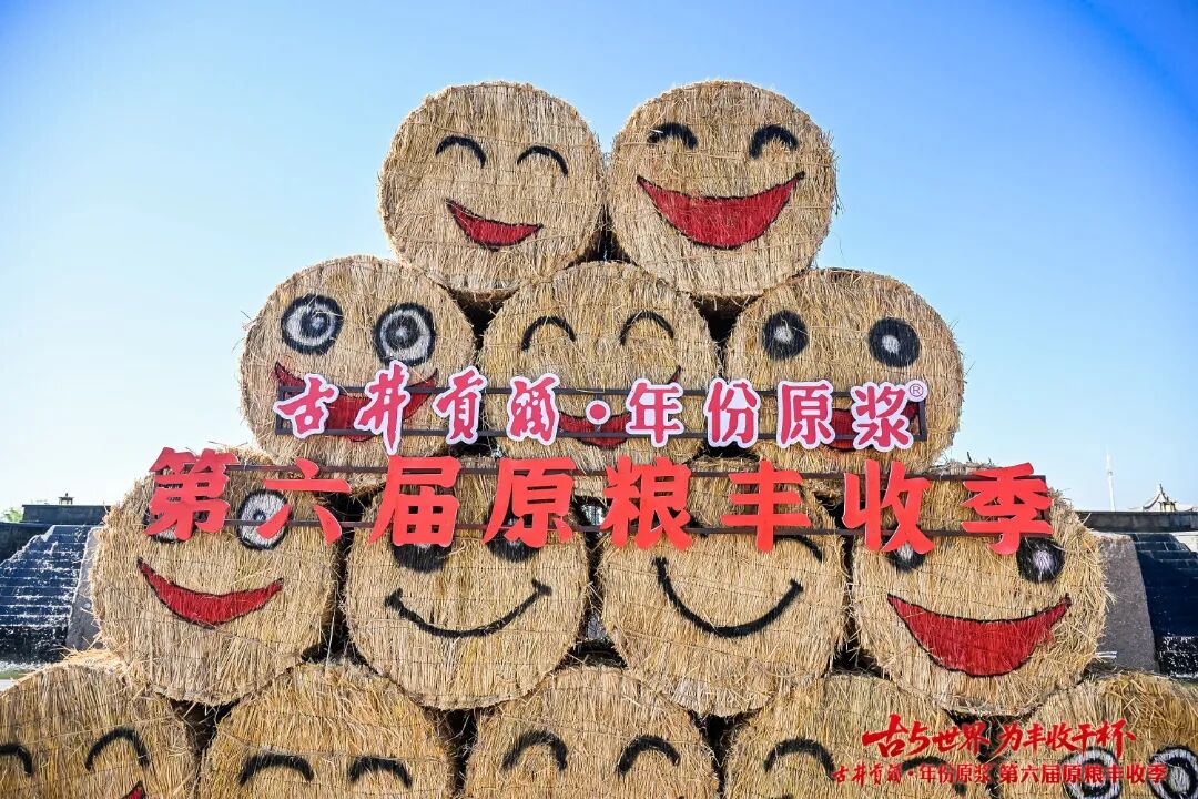 “丰景”这边独好!原粮丰收季IP再升级,古井贡酒书写品质叙事新篇章