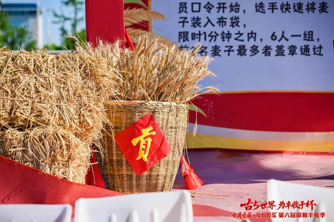 “丰景”这边独好!原粮丰收季IP再升级,古井贡酒书写品质叙事新篇章