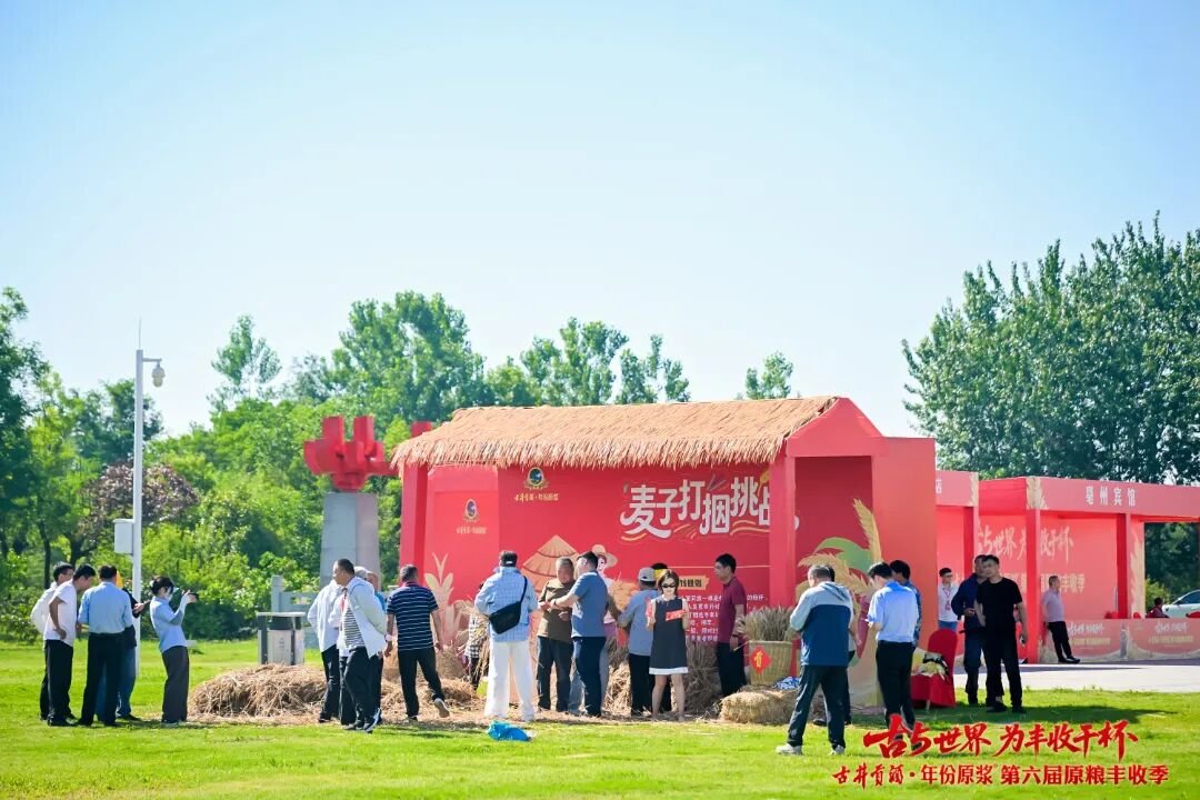 “丰景”这边独好!原粮丰收季IP再升级,古井贡酒书写品质叙事新篇章