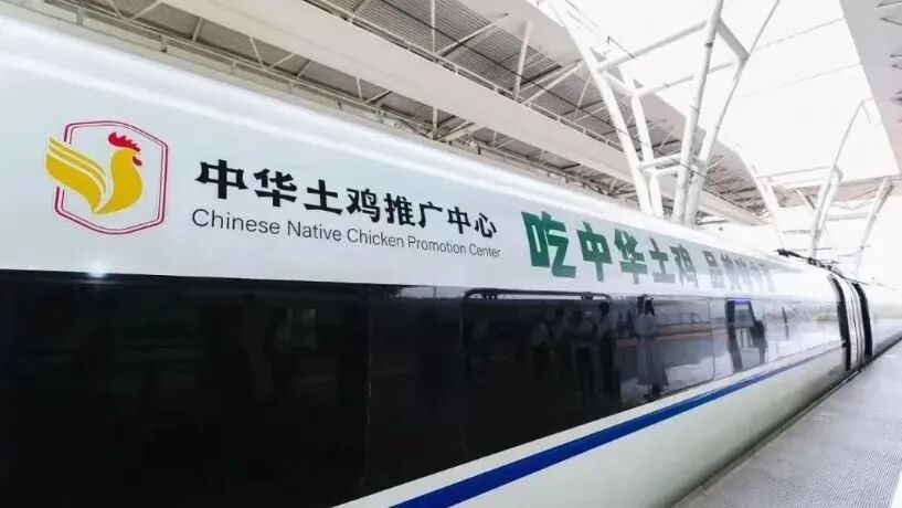 告别“速成焦虑”，中华土鸡用专业标准构建消费信任