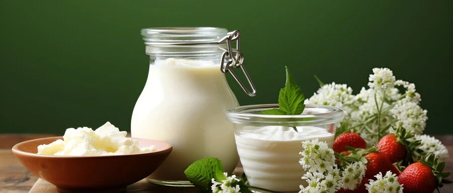 发酵休闲乳品、奶酪、乳脂、乳清……乳制品深加工有哪些主流落地产品？