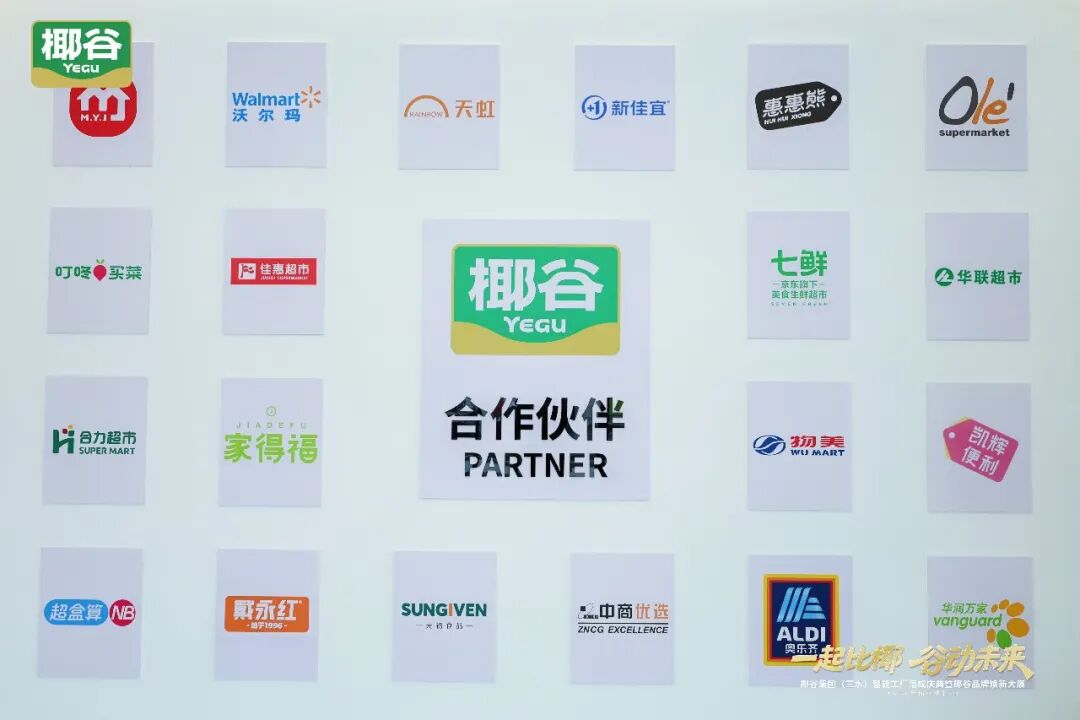 0亿产值托举,全新产品生态亮相!2026椰基风向标看椰谷!"
