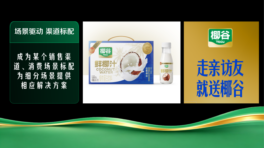 0亿产值托举,全新产品生态亮相!2026椰基风向标看椰谷!"
