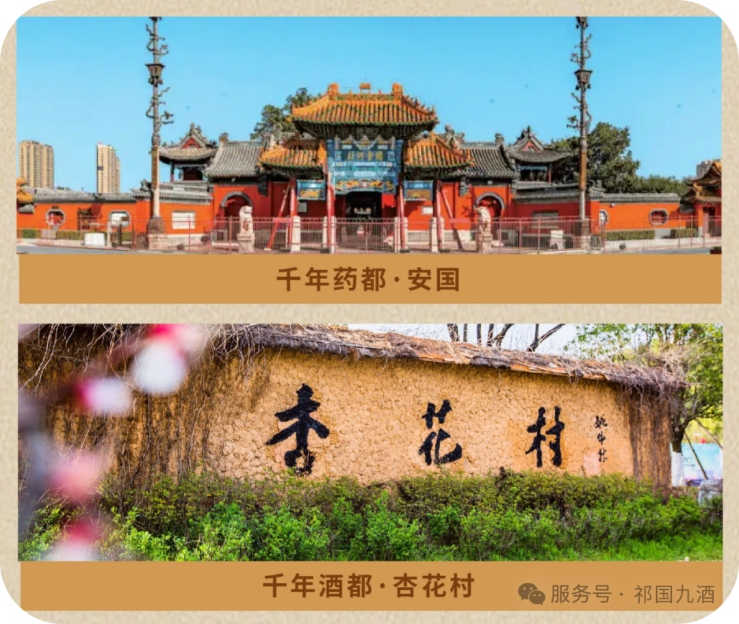 名酒有了新伴侣,祁国九酒正式入局!